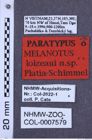 Etiketten zu Melanotus loizeaui (NHMW-ZOO-COL-0007579)